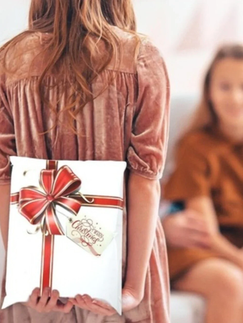 🎄Poly Mailers Holiday Gift Bow (25)